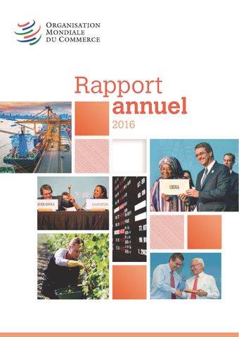 image of Rapport Annuel 2016