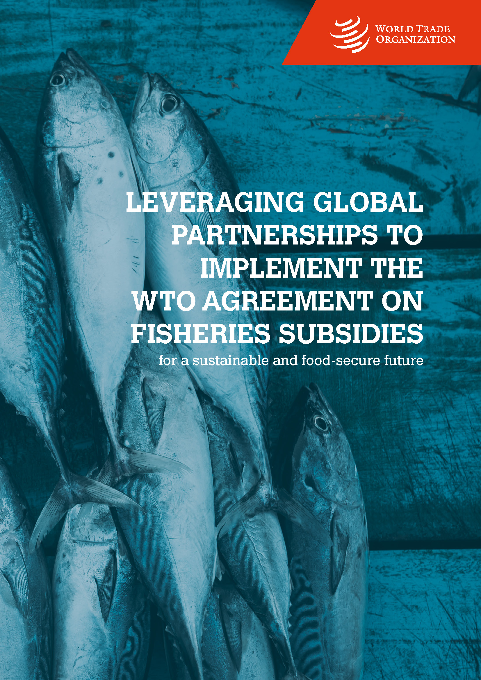 image of Leveraging Global Partnerships to Implement the WTO Agreement on Fisheries Subsidies