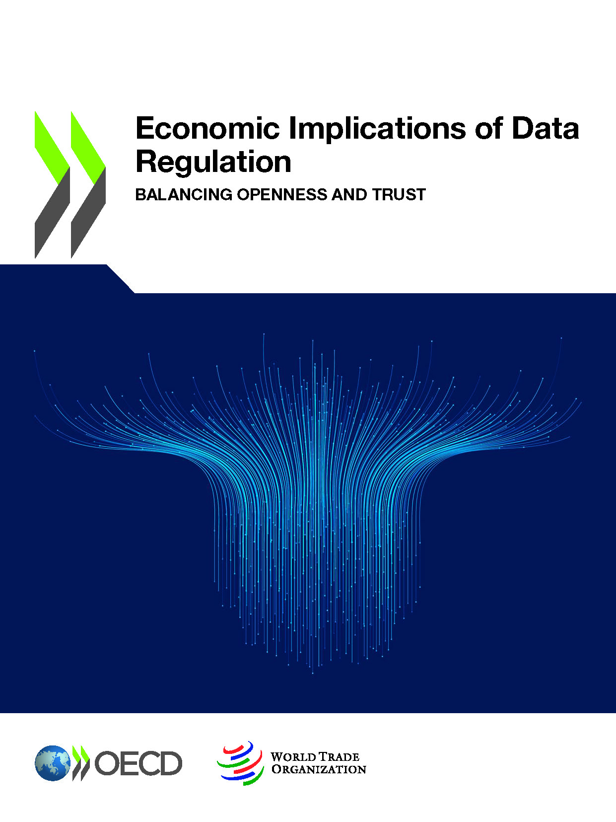 image of Economic Implications of Data Regulation